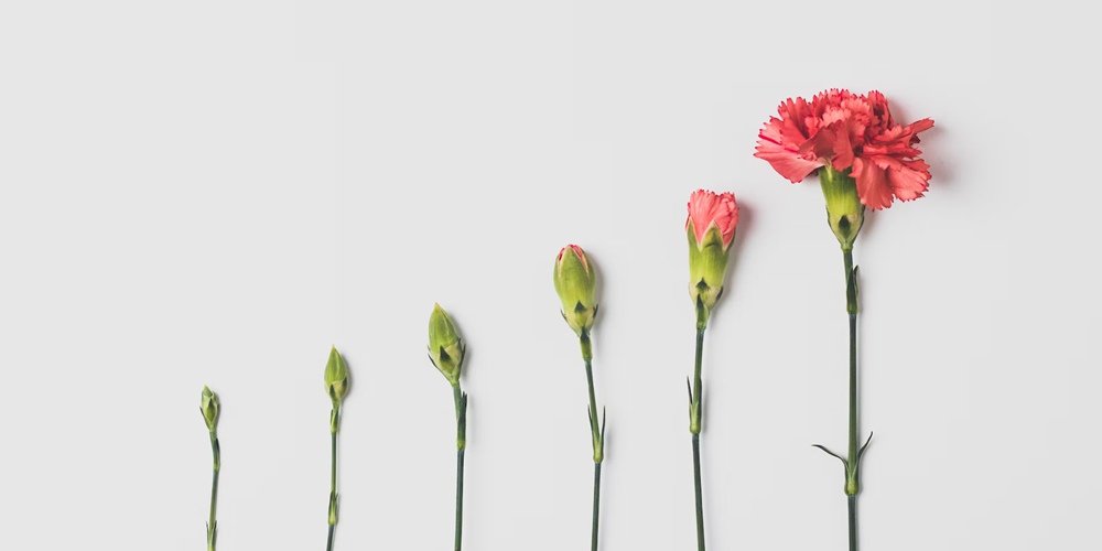 conseils pour changer la vie