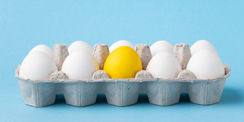 plateaux à œufs ?